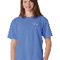 Youth Comfort Colors Tee: Large | Flo Blue
