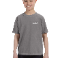 Youth Comfort Colors Tee: Large | Grey